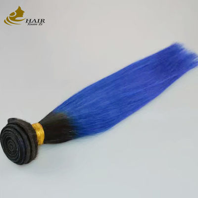 Mädchen Brazilscher Schatten menschliche Haarverlängerungen Bündel Blau 1B